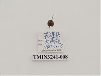 藏品(梵文菌瓢蟲)的圖片